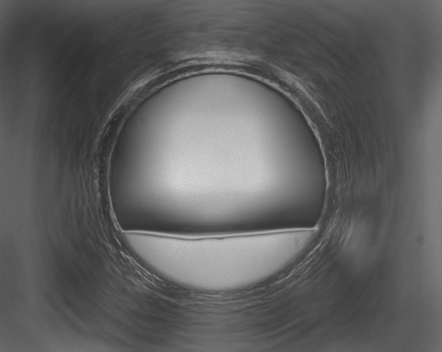 X0000084521307200702230827