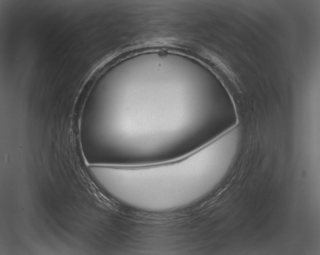 X0000084521308200702230827