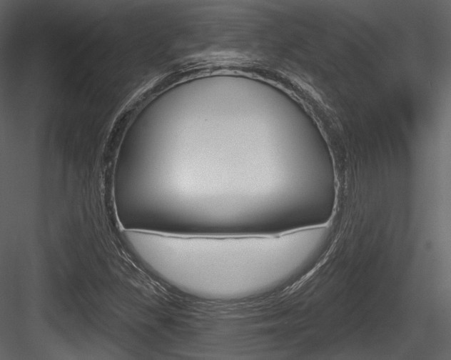 X0000084521309200702230827