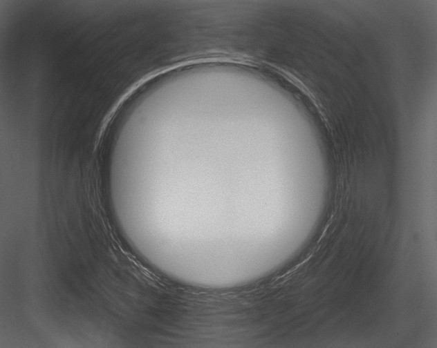 X0000084521310200702230827