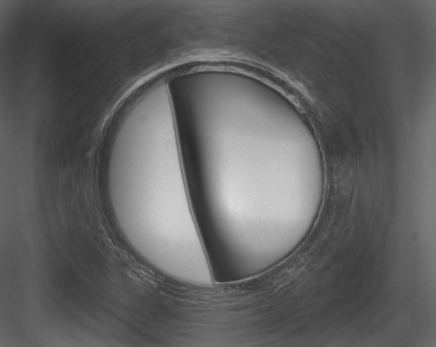 X0000084521311200702230827