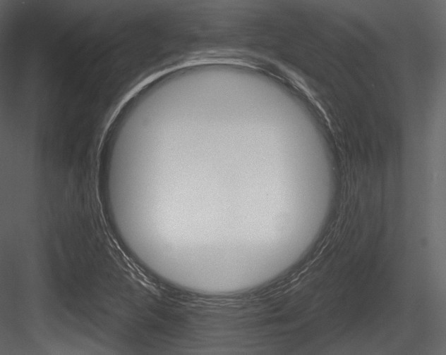 X0000084521312200702230827