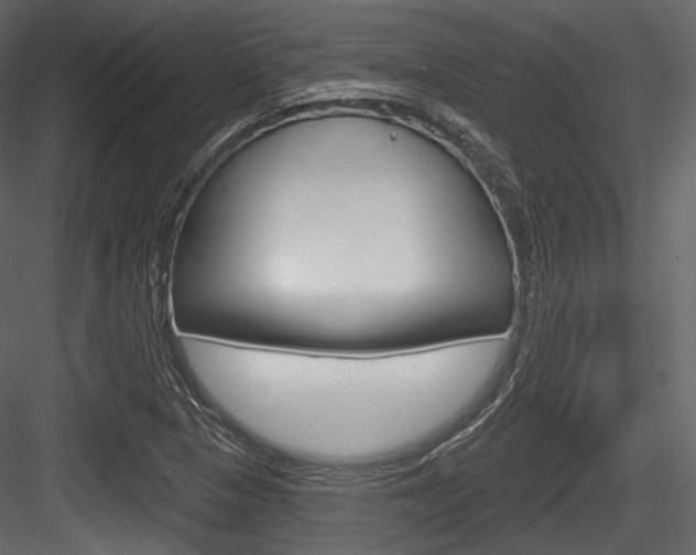 X0000084521313200702230827