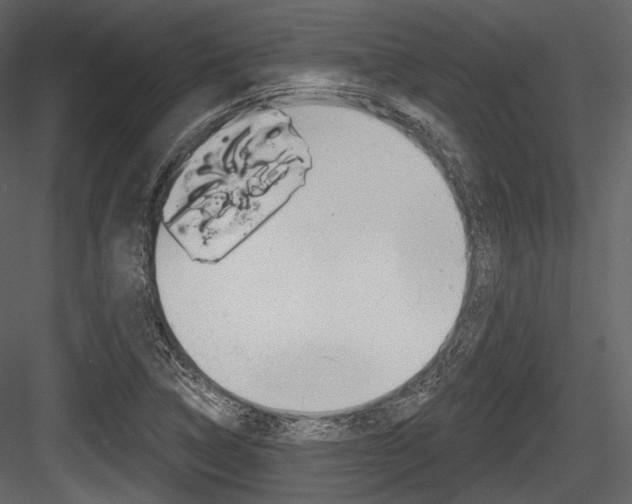 X0000084521314200702230827