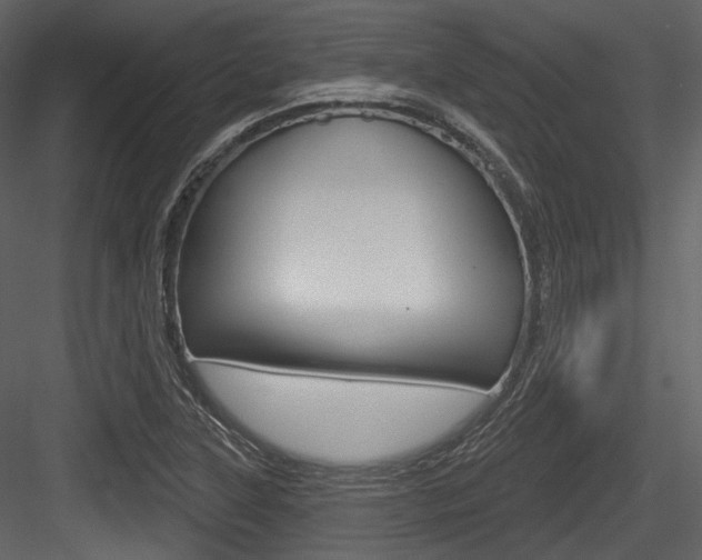 X0000084521315200702230827