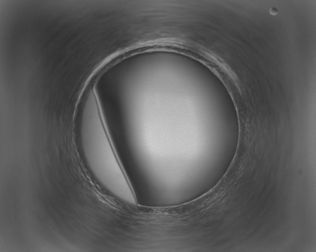 X0000084521316200702230827