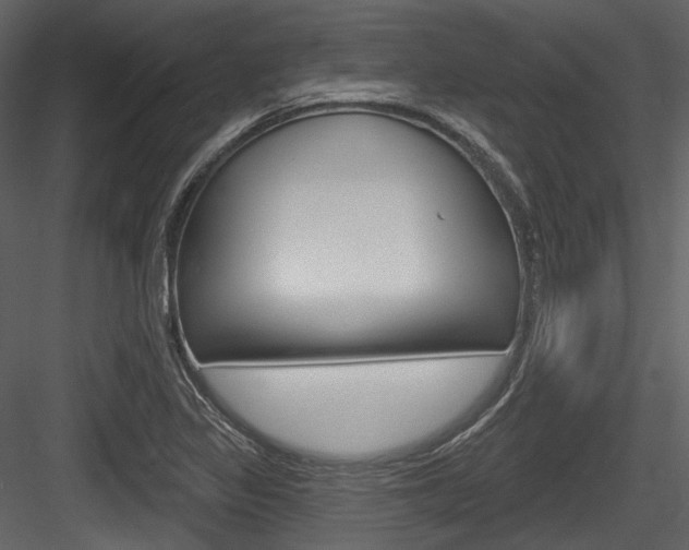 X0000084521317200702230827