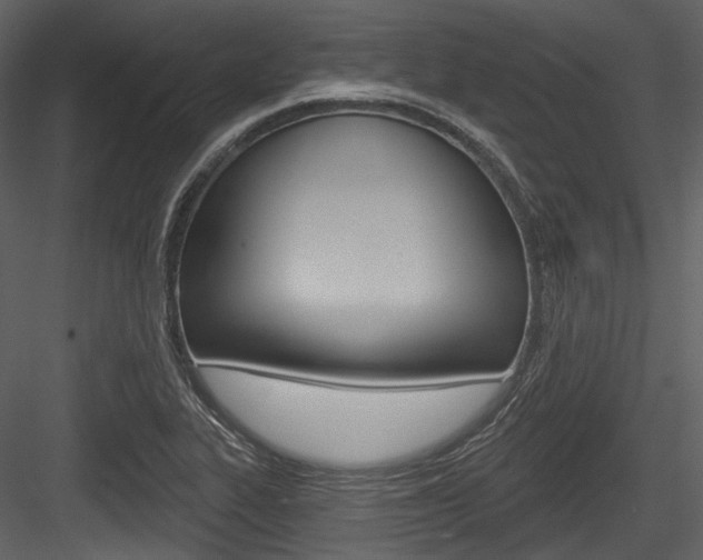 X0000084521319200702230827