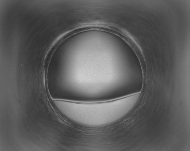 X0000084521320200702230827