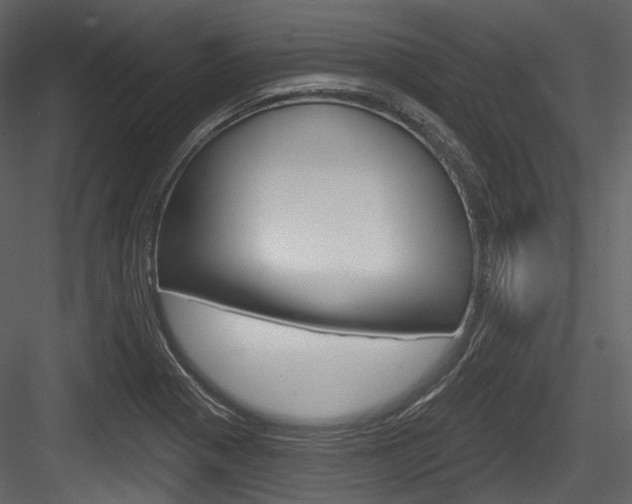 X0000084521321200702230827