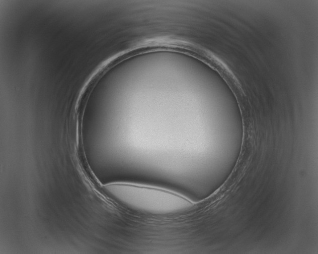 X0000084521323200702230827