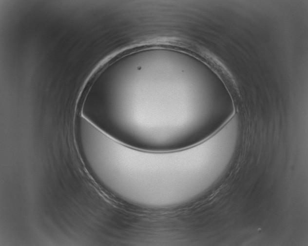 X0000084521324200702230827