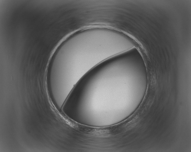 X0000084521325200702230827