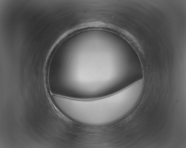 X0000084521326200702230827