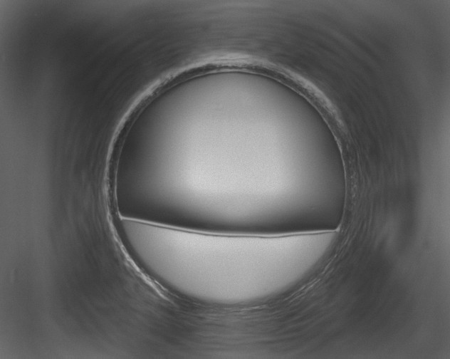 X0000084521327200702230827