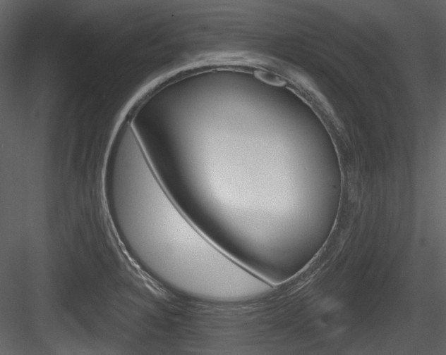 X0000084521328200702230827