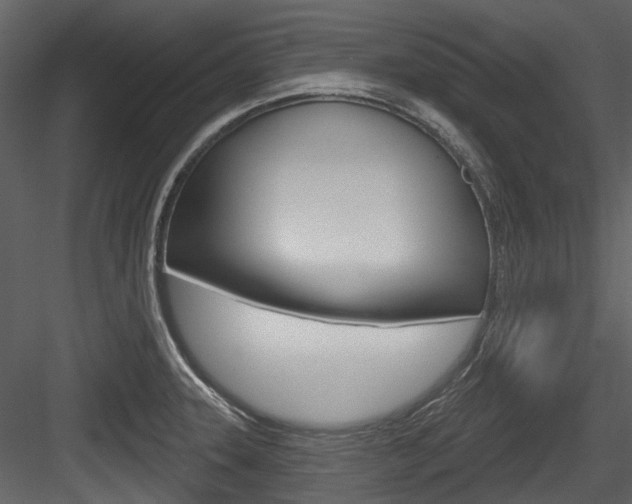 X0000084521331200702230827