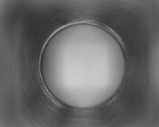X0000084521332200702230827