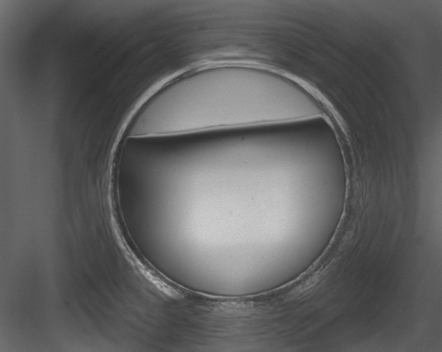 X0000084521333200702230827