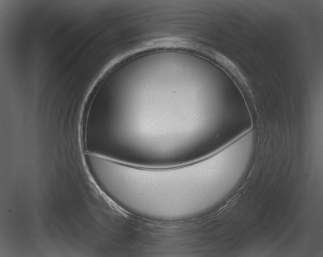 X0000084521334200702230827