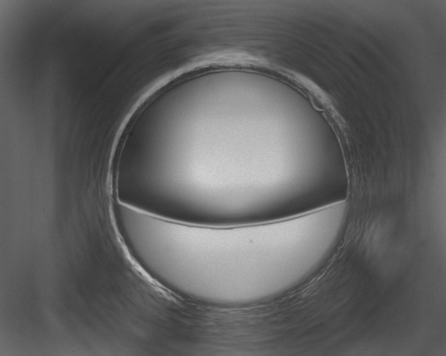 X0000084521335200702230827