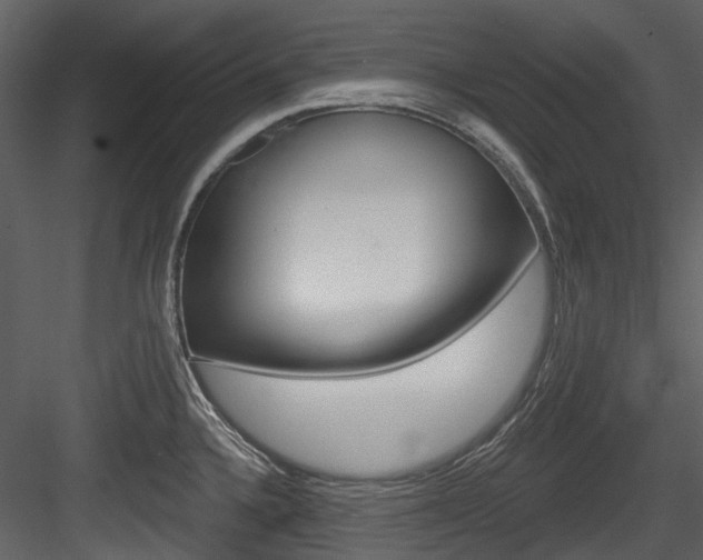 X0000084521336200702230828