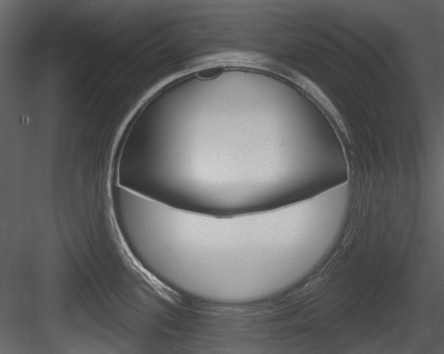 X0000084521339200702230828