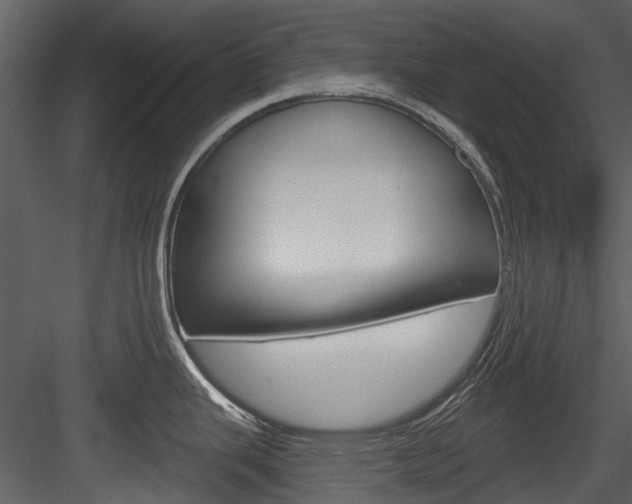 X0000084521343200702230828