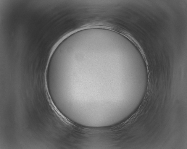 X0000084521344200702230828