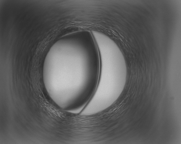 X0000084521345200702230827