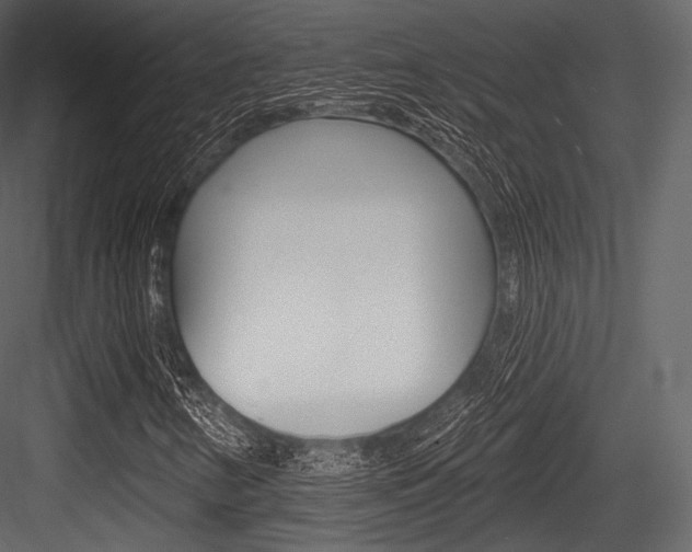 X0000084521346200702230827