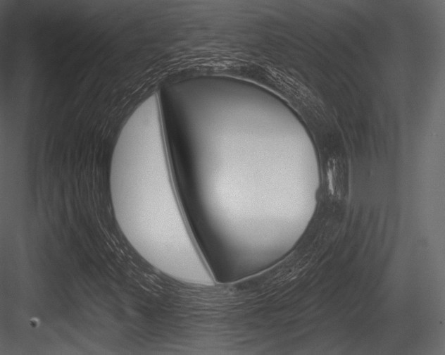 X0000084521347200702230827