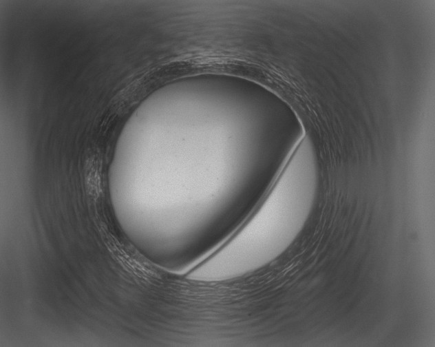 X0000084521348200702230827