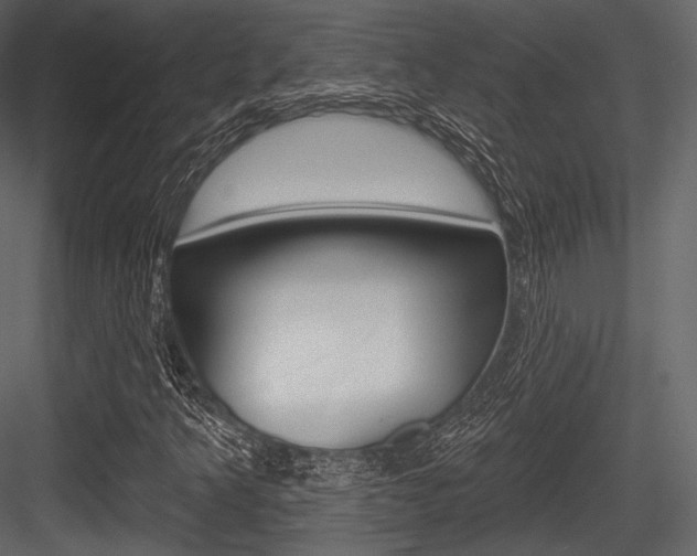 X0000084521349200702230827