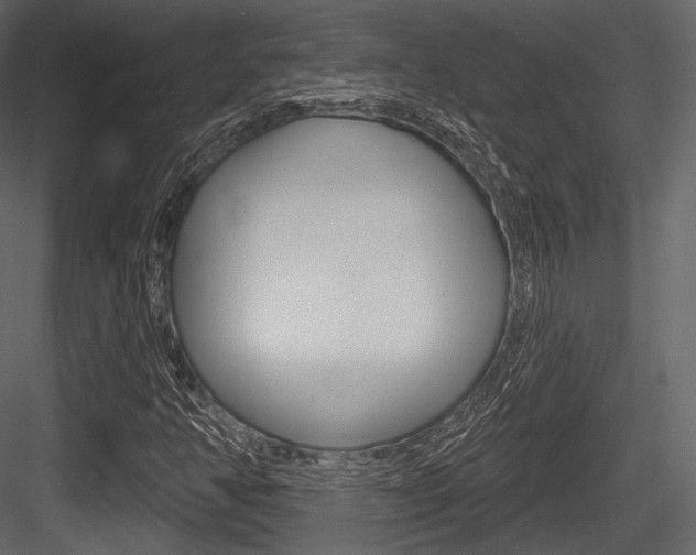 X0000084521350200702230827
