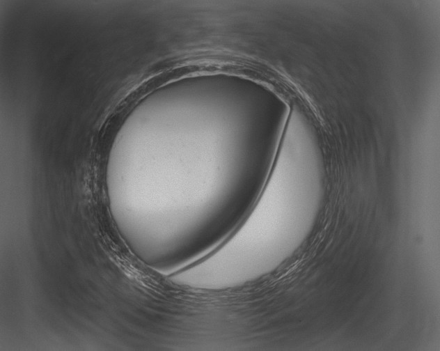 X0000084521352200702230827