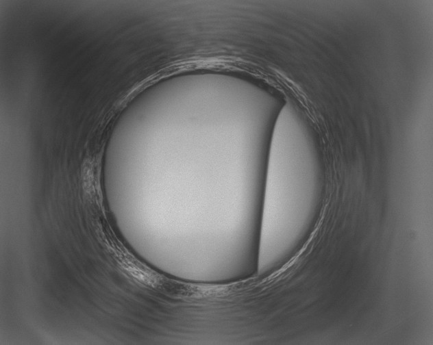 X0000084521353200702230827