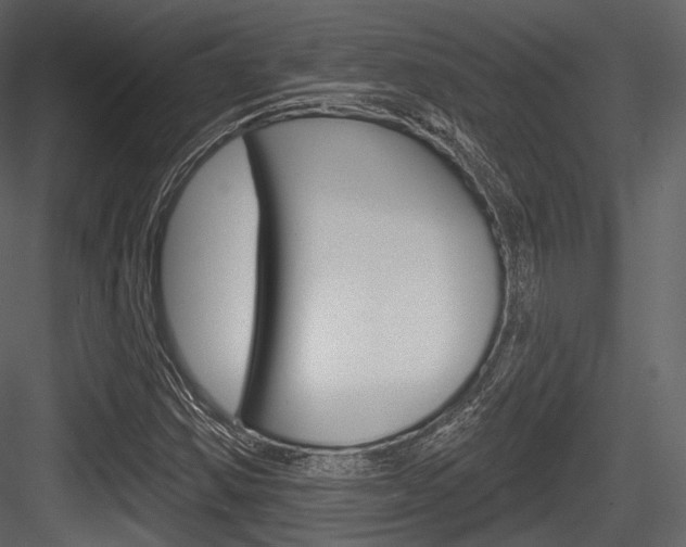 X0000084521354200702230827
