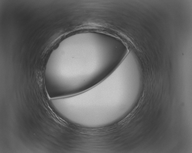 X0000084521355200702230827