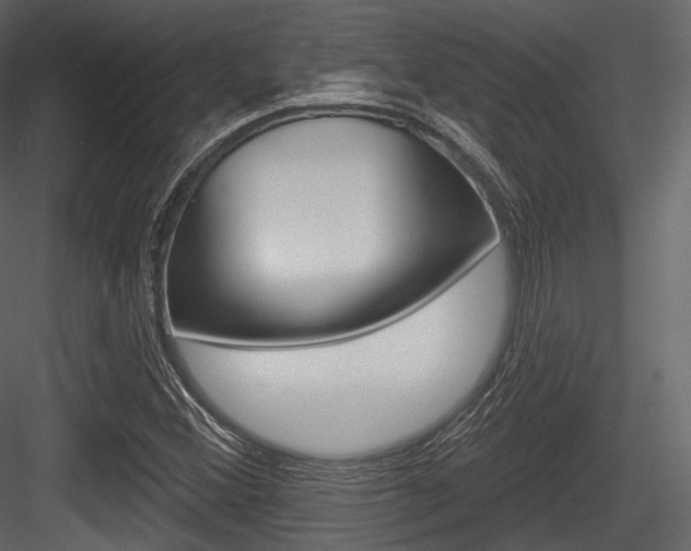 X0000084521356200702230827