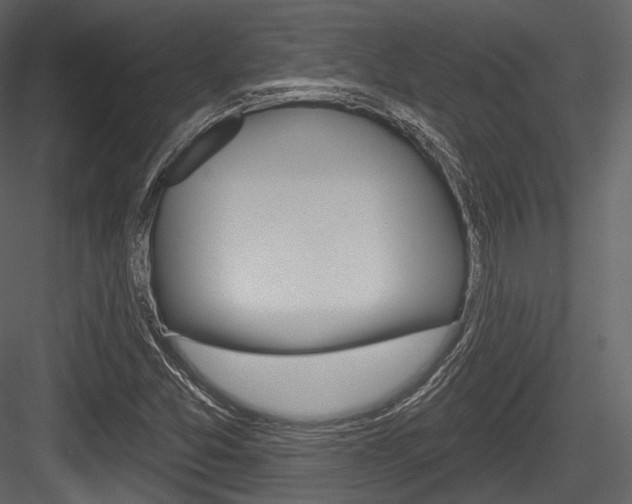 X0000084521357200702230827