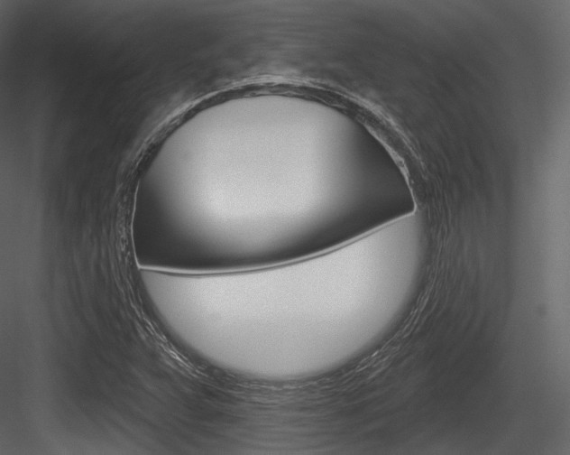 X0000084521359200702230827