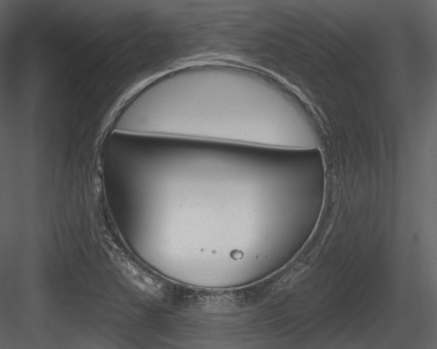X0000084521363200702230827