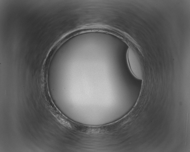 X0000084521364200702230826