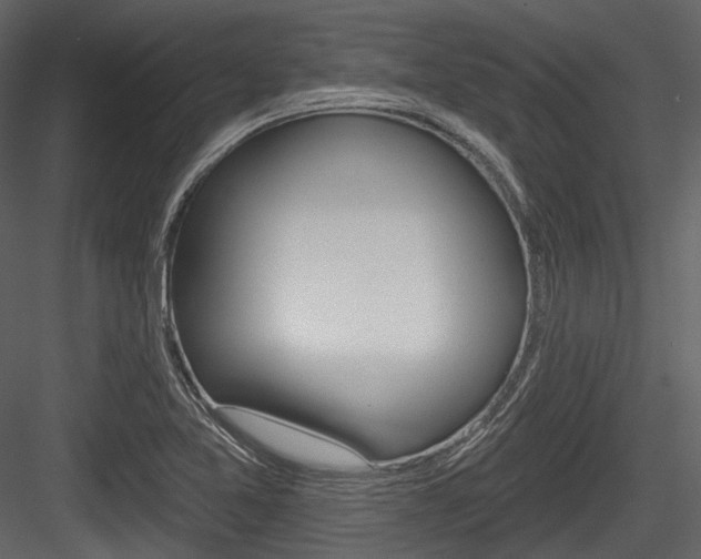 X0000084521365200702230826