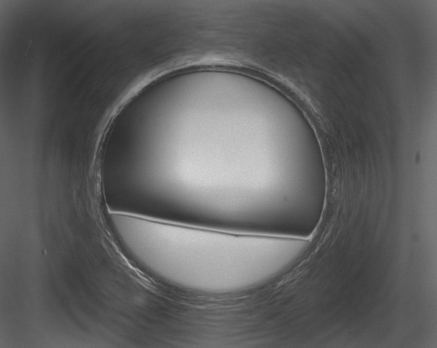 X0000084521367200702230826