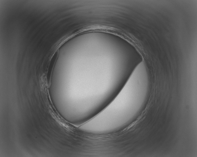 X0000084521369200702230826