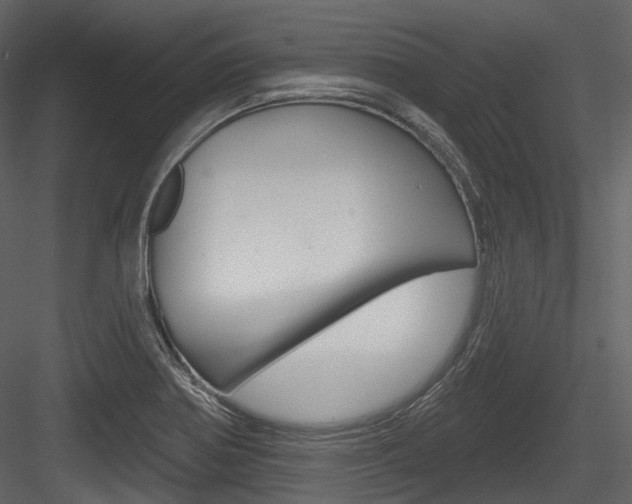 X0000084521370200702230826