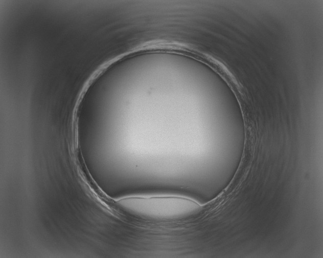 X0000084521371200702230826
