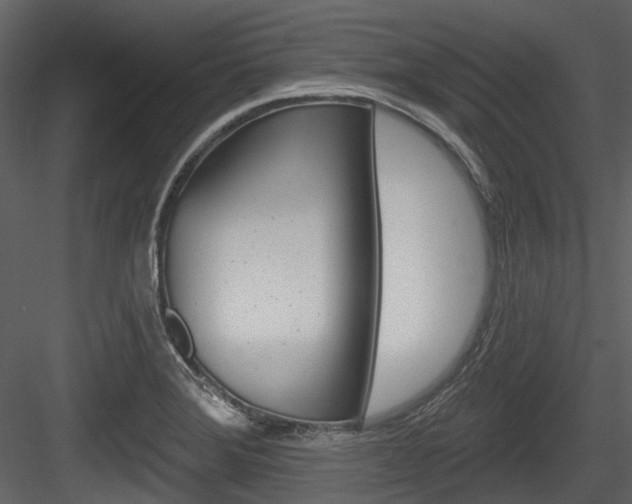 X0000084521372200702230826